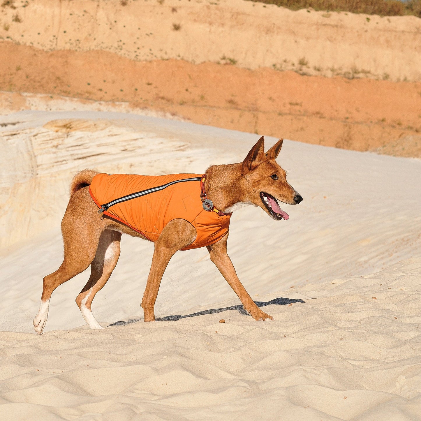 Sustainable Eco-Friendly Dog Jacket / Vest - Made in Ukraine